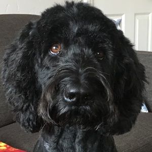 Meet your Posher, Caleb